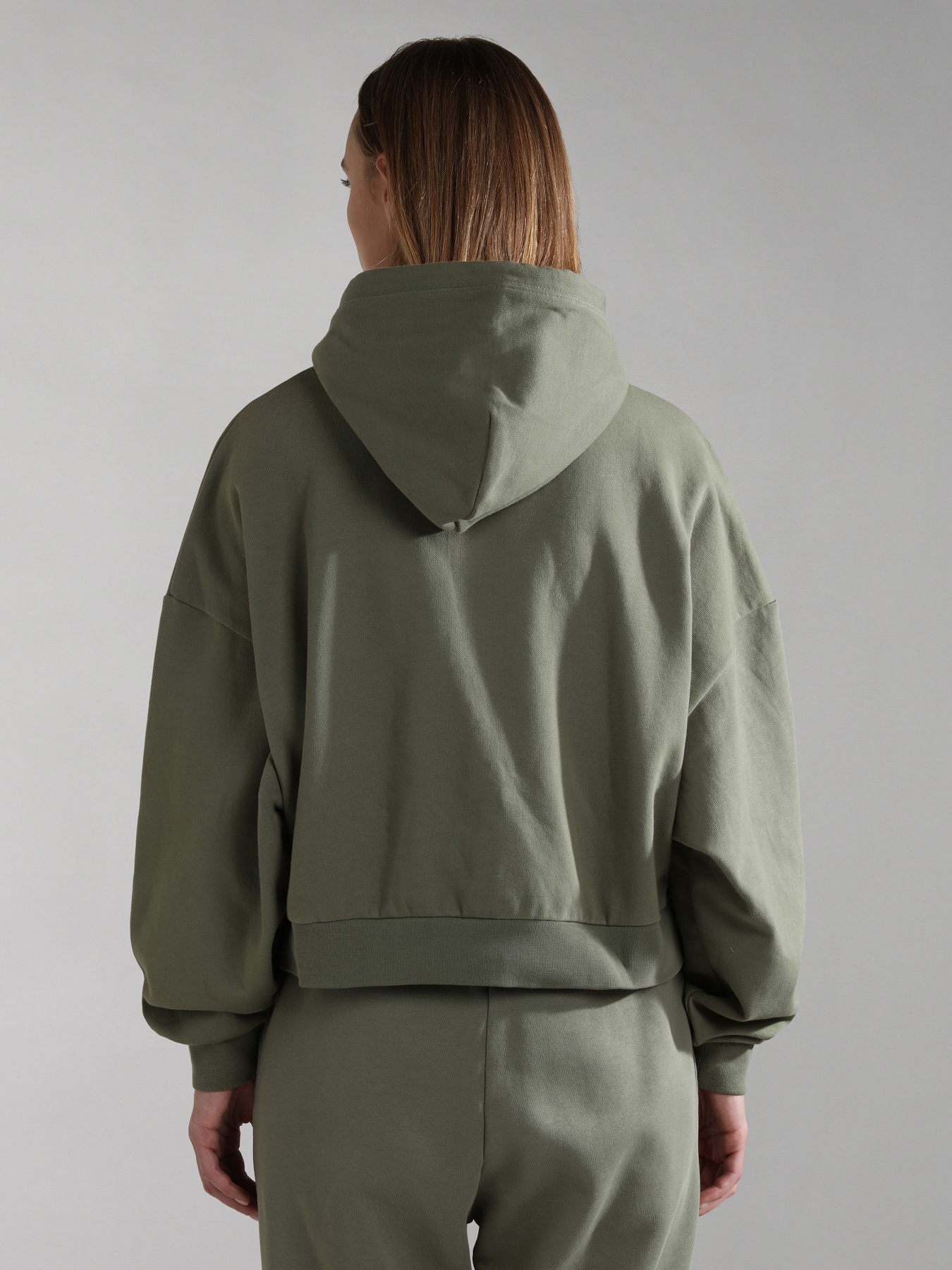 Худи Napapijri B-Morgex H модель NP0A4GKEGAES Фото