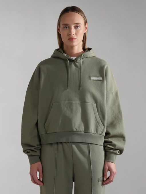 Худи Napapijri B-Morgex H модель NP0A4GKEGAES Фото