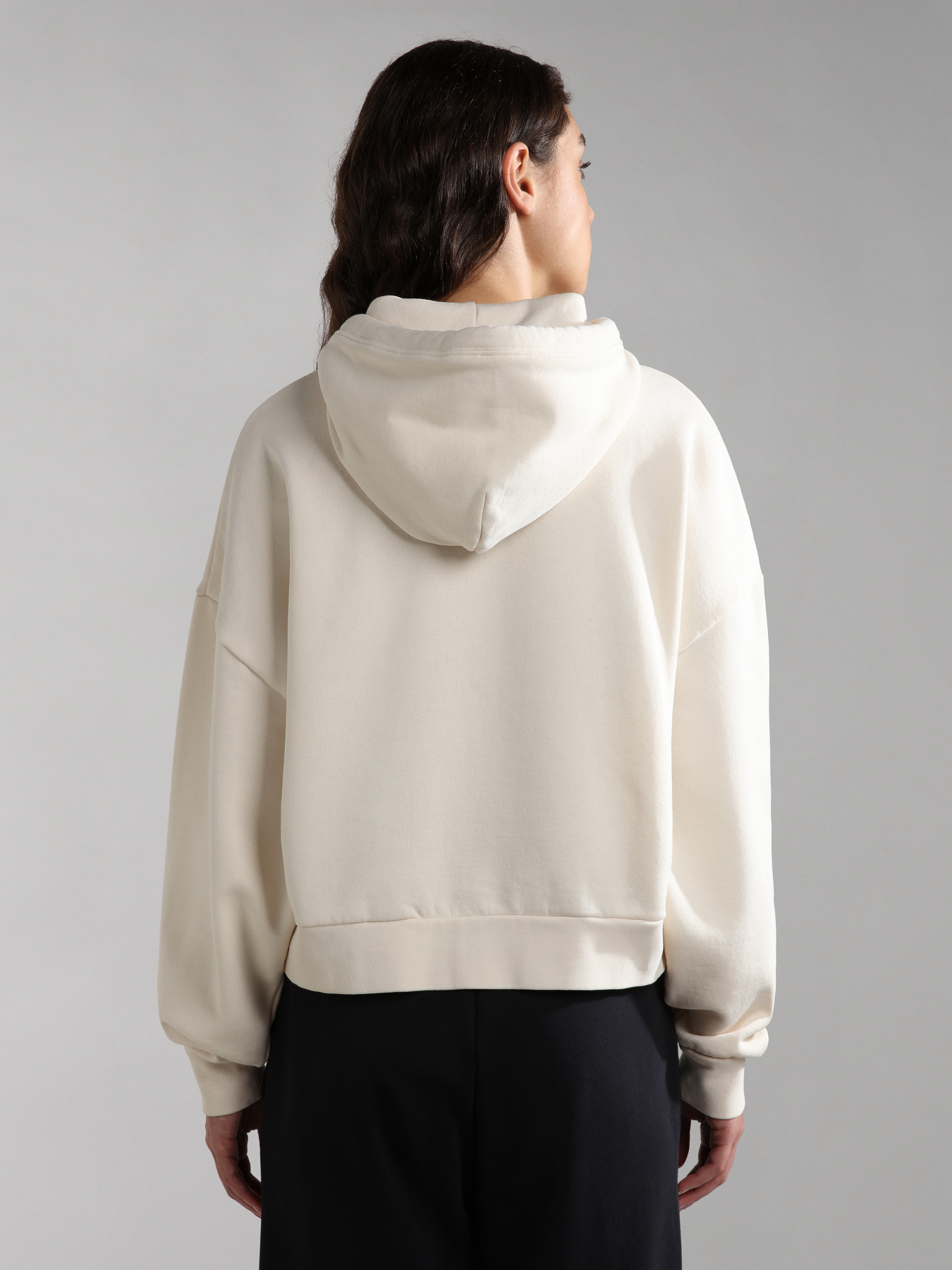 Худи Napapijri B-Morgex H модель NP0A4GKENS51 Фото