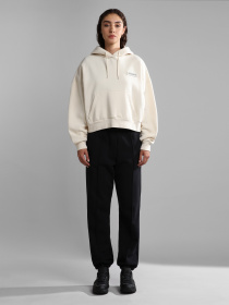 Худи Napapijri B-Morgex H модель NP0A4GKENS51 Фото