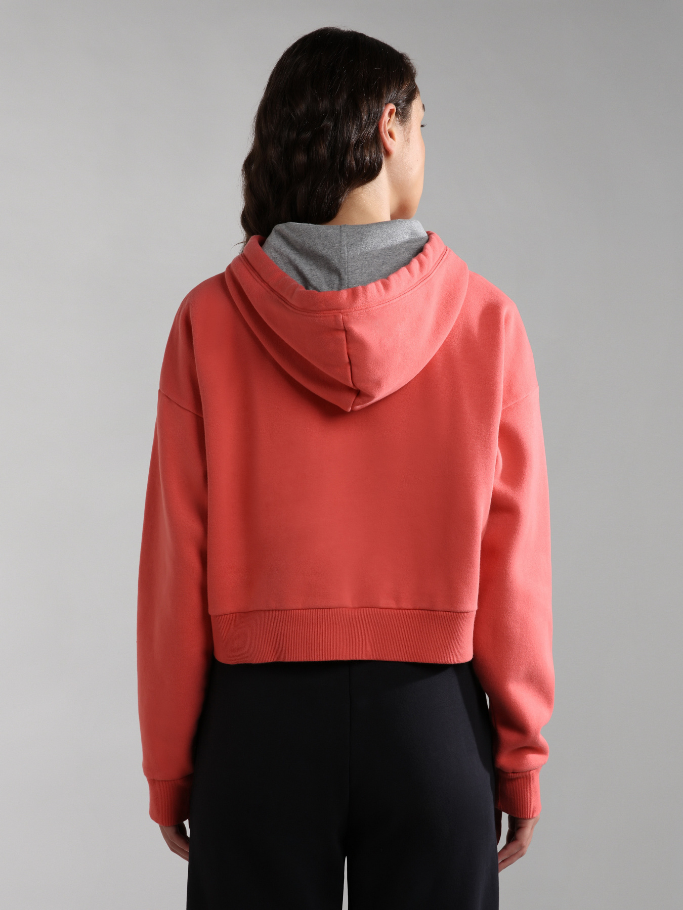 Худи Napapijri Burgee Crop модель NP0A4GKJPP3S Фото