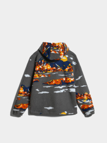 Демисезонная куртка Napapijri T-Igloo H Aop модель NP0A4GLKFBP1 Фото