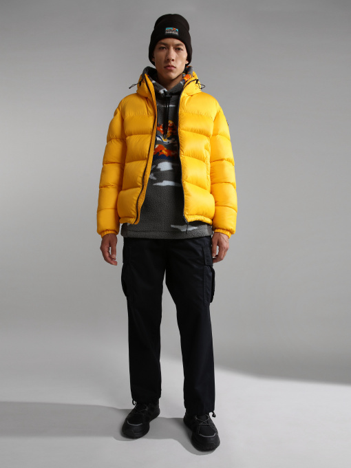 Зимняя куртка Napapijri A-Hornelen модель NP0A4GLLYE1S Фото