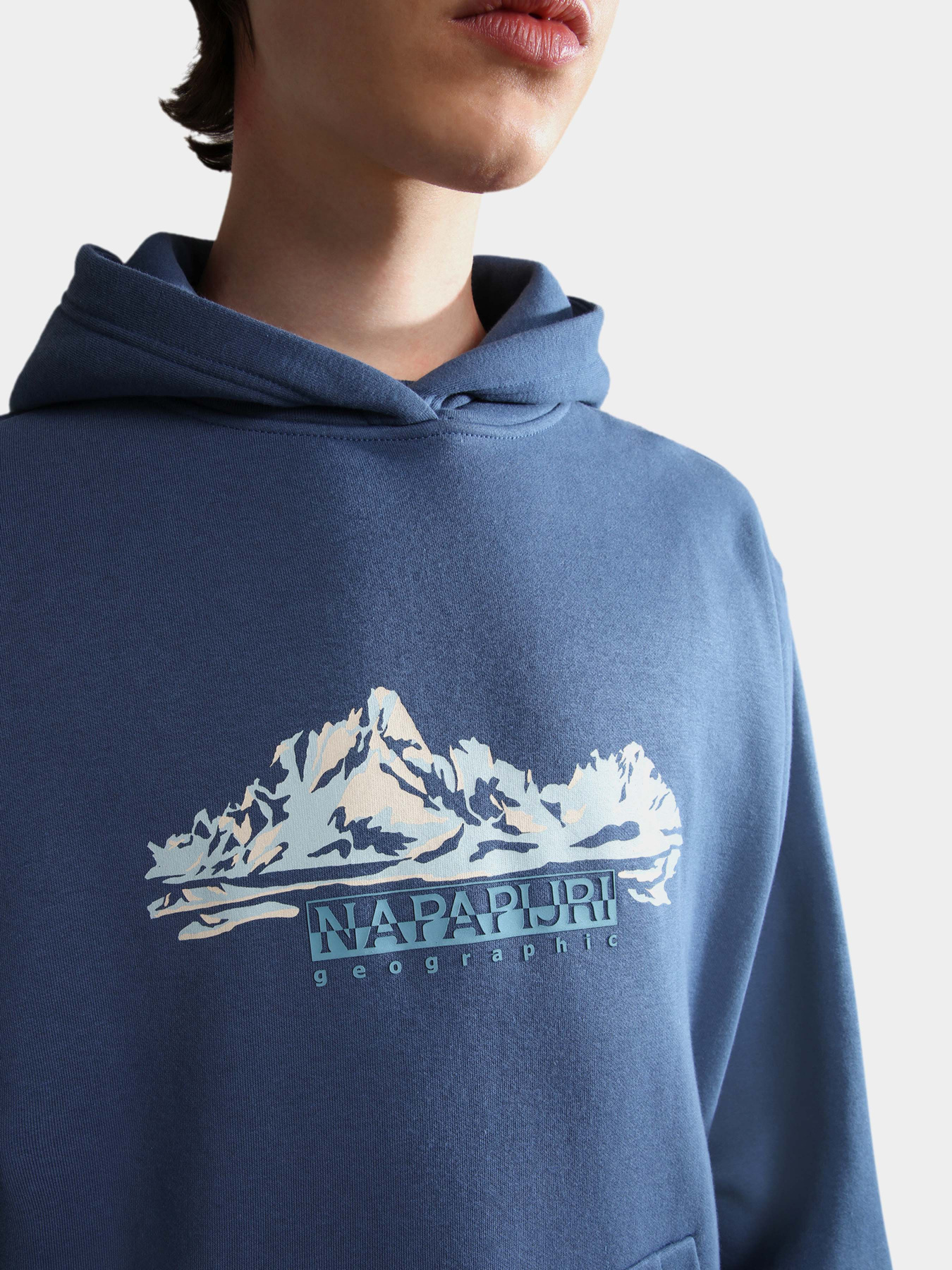 Худи Napapijri B-Backcountry модель NP0A4GLUBS5S Фото