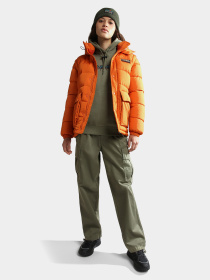 Худи Napapijri B-Telemark H модель NP0A4GLVGAES Фото