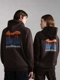 Худи Napapijri B-Freestyle H модель NP0A4GLXWA9S Фото