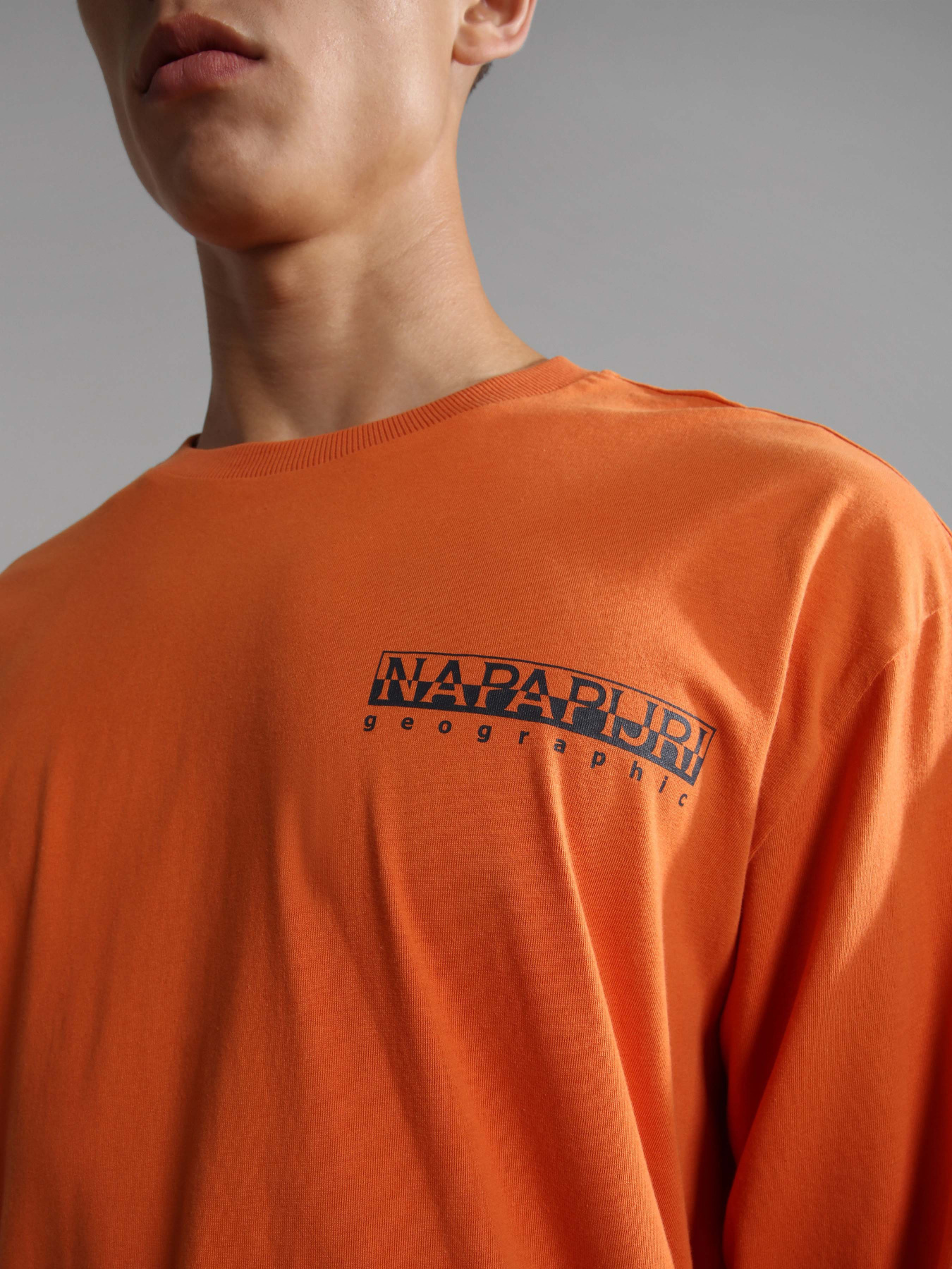 Свитшот Napapijri S-Telemark Ls модель NP0A4GM2AA31 Свитшот Napapijri S-Telemark Ls модель NP0A4GM2AA31 Фото