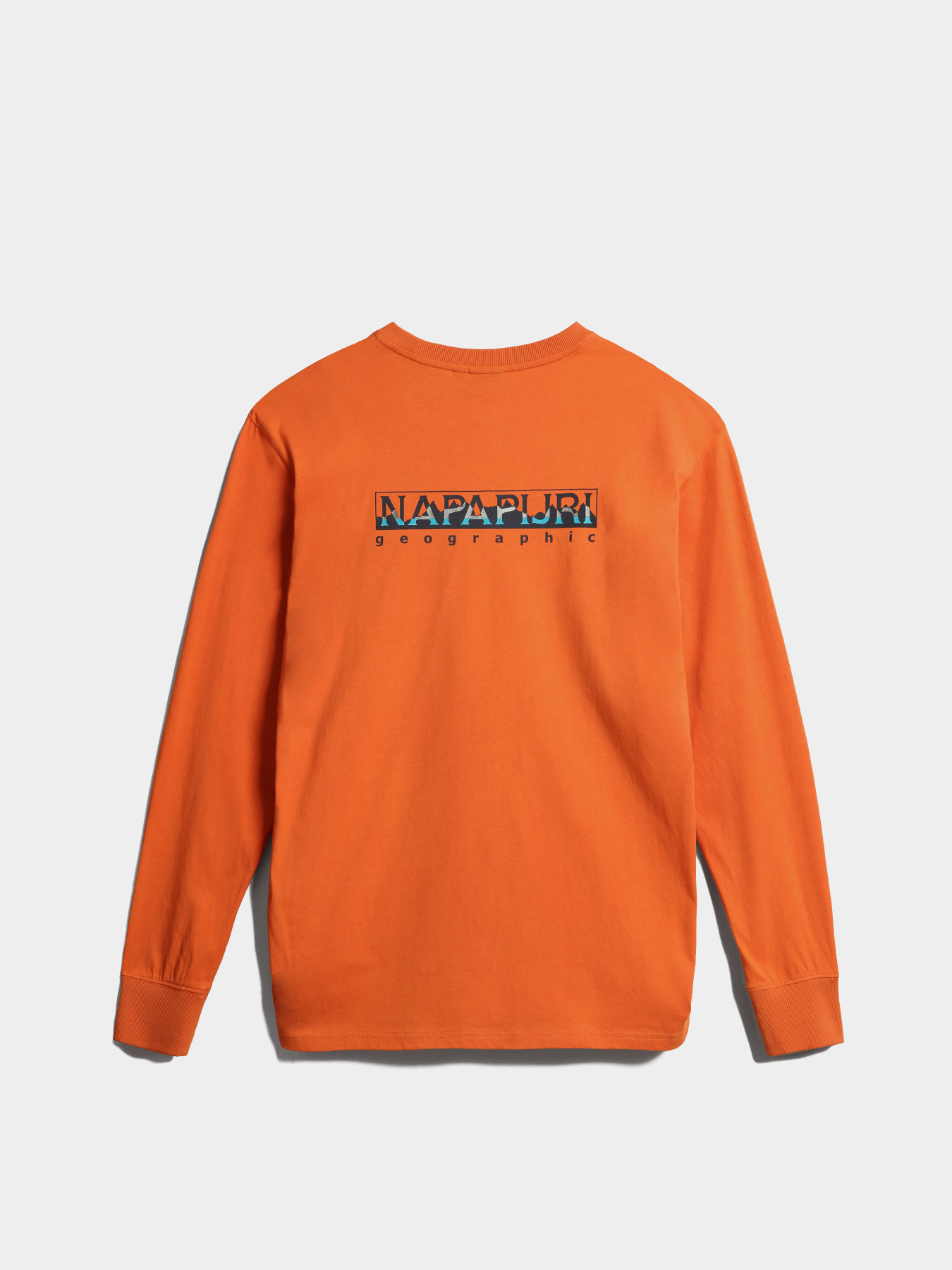 Свитшот Napapijri S-Telemark Ls модель NP0A4GM2AA31 Свитшот Napapijri S-Telemark Ls модель NP0A4GM2AA31 Фото