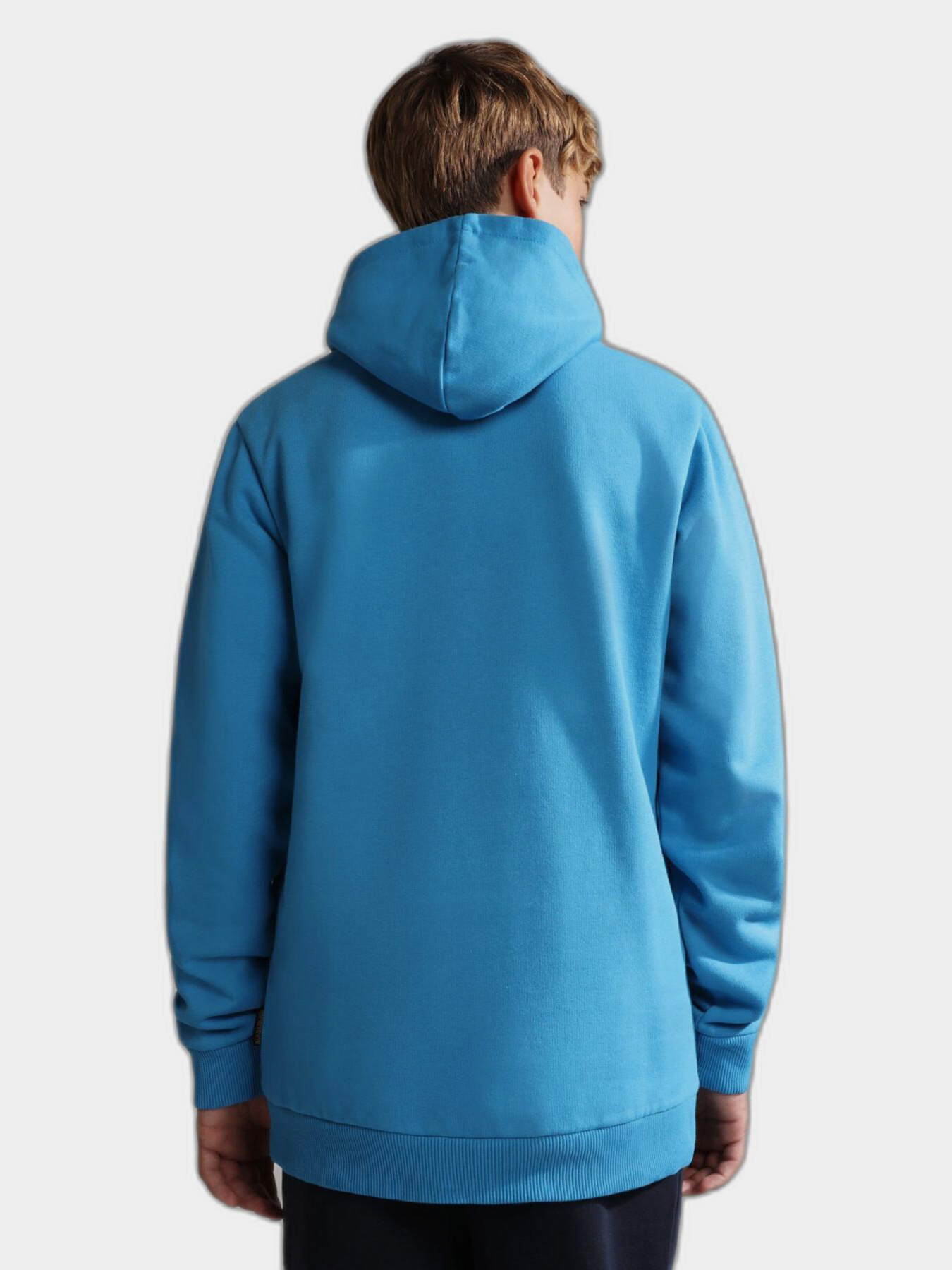 Худи Napapijri B-Box H 1 модель NP0A4GMOBK11 Фото