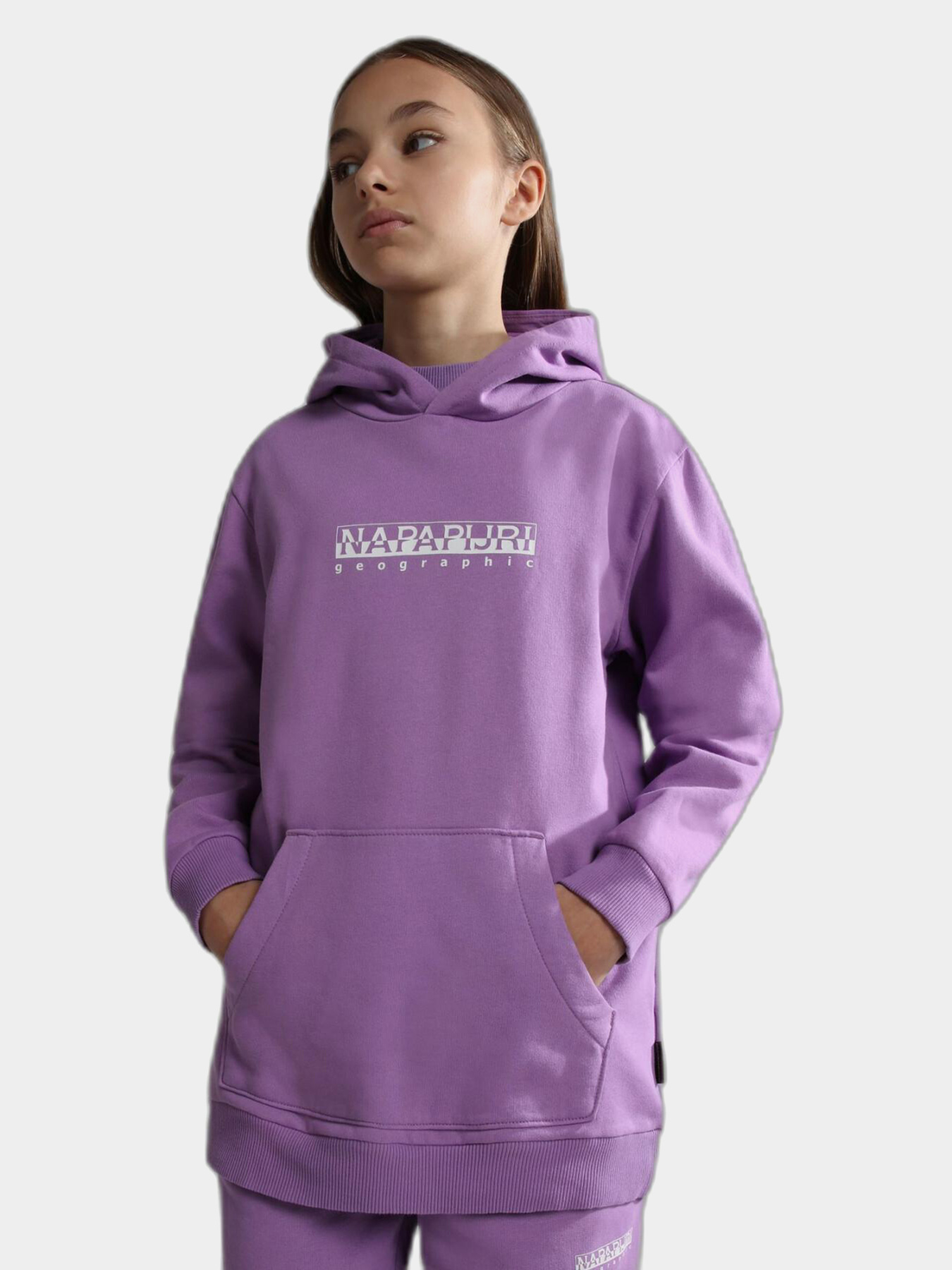 Худи Napapijri B-Box H 1 модель NP0A4GMOV1B1 Фото