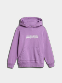 Худи Napapijri B-Box H 1 модель NP0A4GMOV1BS Фото