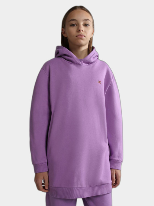 Худи Napapijri Balis H Violet Pansy модель NP0A4GMRV1B1 Фото