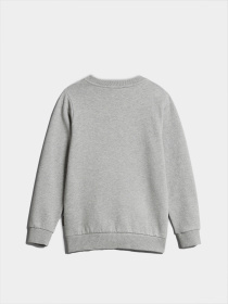 Свитшот Napapijri K Balis C 2 модель NP0A4GMS1601 Фото