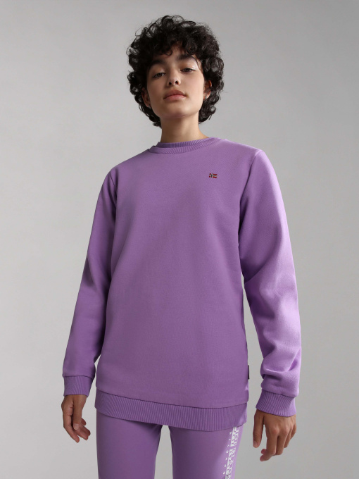 Свитшот Napapijri K Balis C 2 модель NP0A4GMSV1B1 Фото