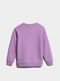 Свитшот Napapijri K Balis C 2 модель NP0A4GMSV1B1 Фото