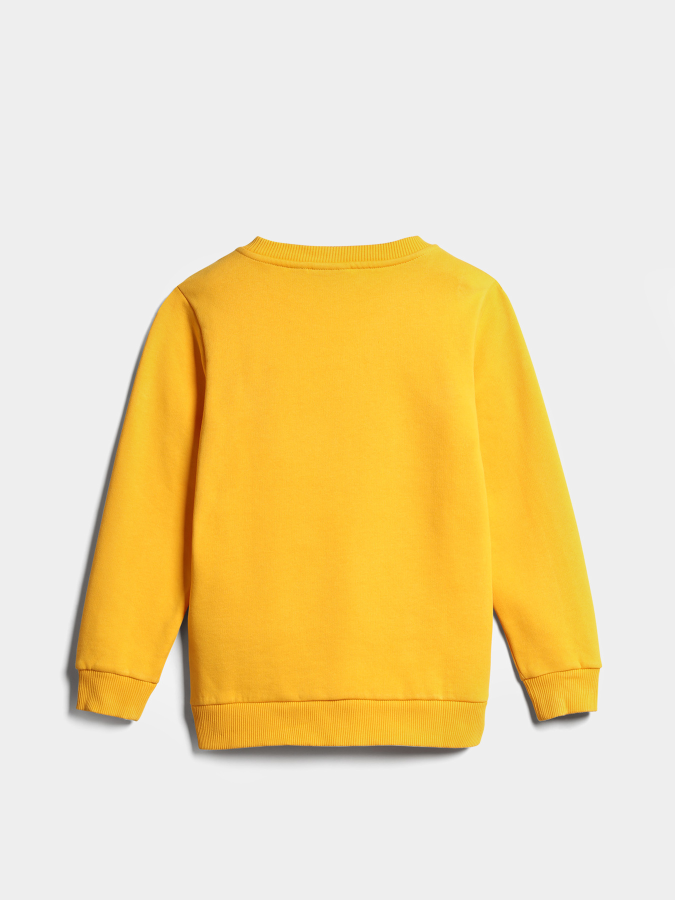 Свитшот Napapijri K Balis C 2 модель NP0A4GMSYE11 Фото