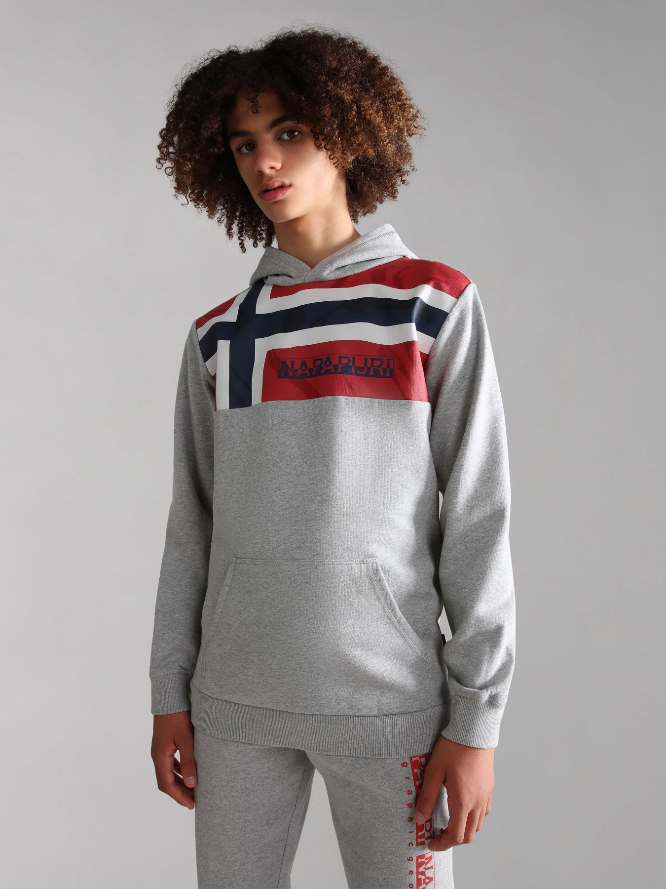Худи Napapijri Beri 1 модель NP0A4GMT1601 Фото