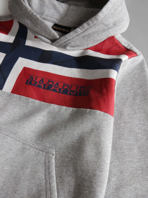 Худи Napapijri Beri 1 модель NP0A4GMT1601 Фото