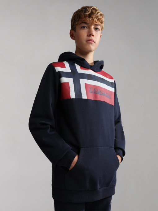 Худи Napapijri K Beri H 1 модель NP0A4GMT1761 Фото