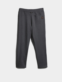 Спортивні штани Napapijri M-Cascade модель NP0A4GP9197S Фото