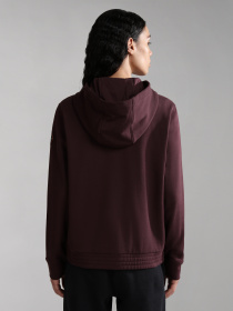 Худи Napapijri B-Cascade модель NP0A4GPZRE7S Фото