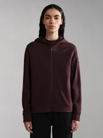 Худи Napapijri B-Cascade модель NP0A4GPZRE7S Фото