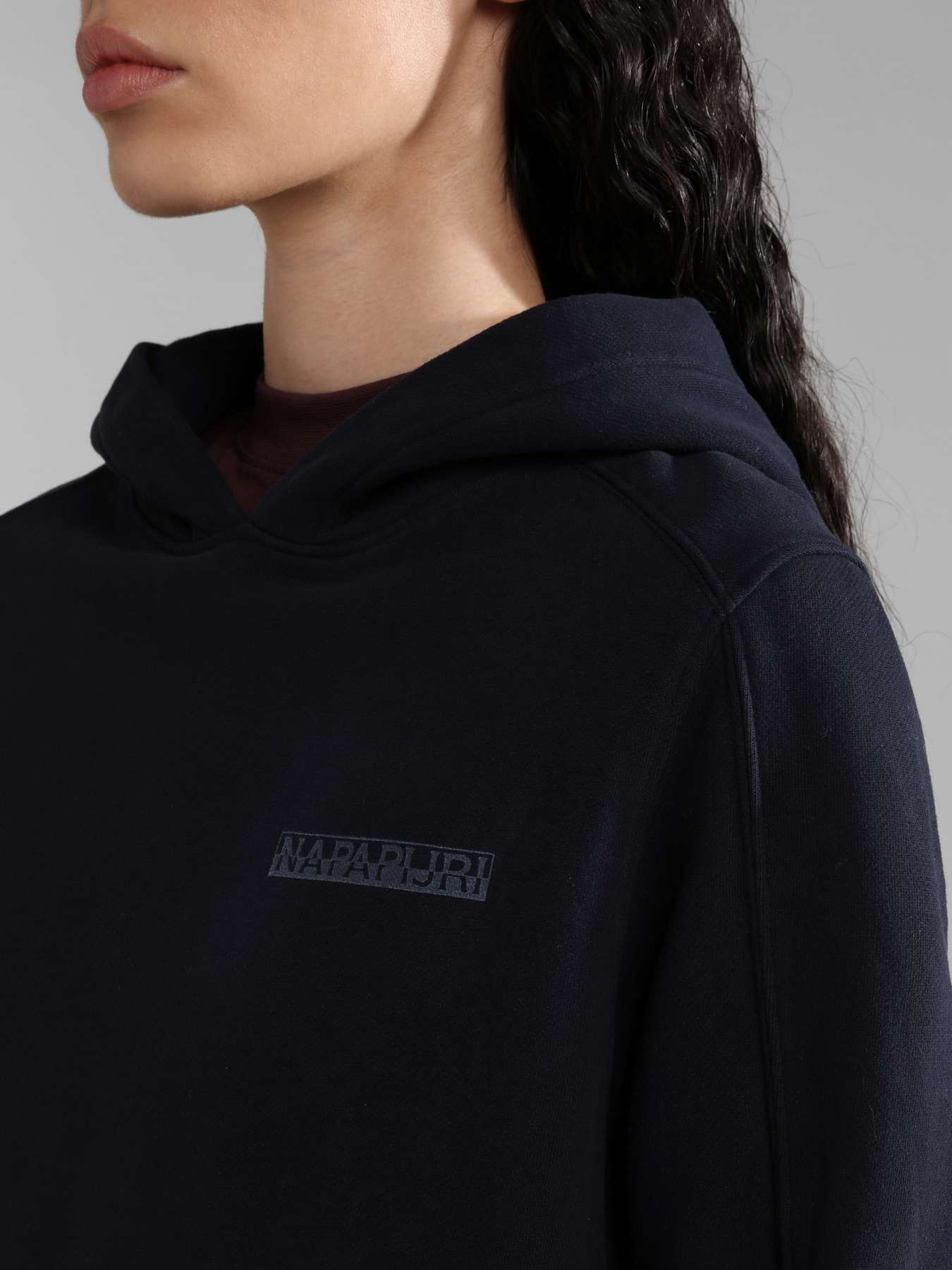 Худи Napapijri B-Nidaros H модель NP0A4GQ41761 Фото