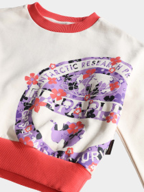 Свитшот Napapijri Kg B-Viken модель NP0A4GVYNS5S Фото