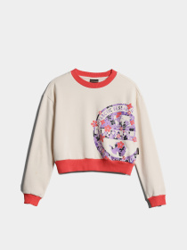 Свитшот Napapijri Kg B-Viken модель NP0A4GVYNS5S Фото