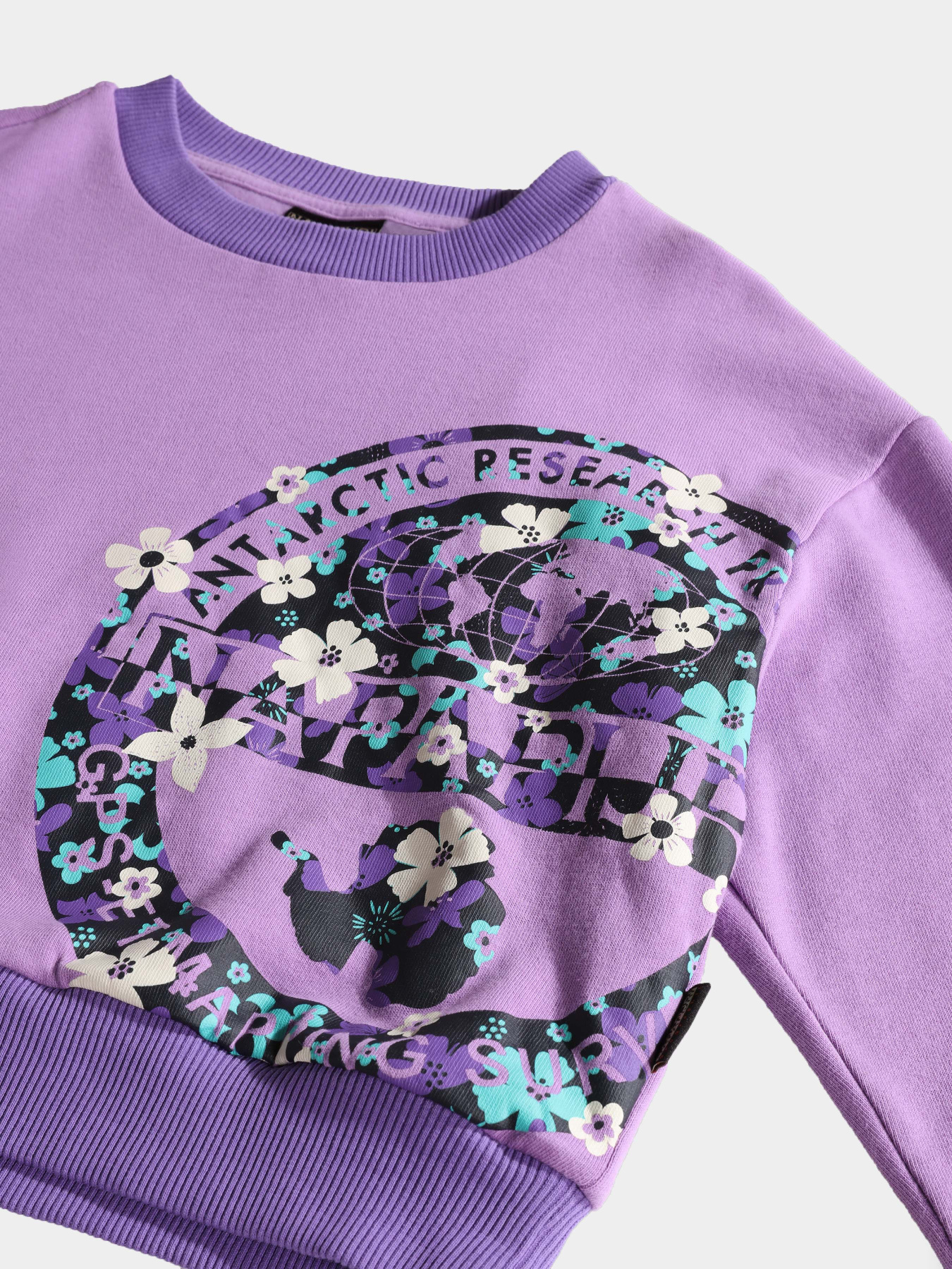 Свитшот Napapijri Kg B-Viken модель NP0A4GVYV1B1 Фото