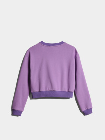 Свитшот Napapijri Kg B-Viken модель NP0A4GVYV1B1 Фото