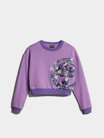 Світшот Napapijri Kg B-Viken модель NP0A4GVYV1B1 Фото