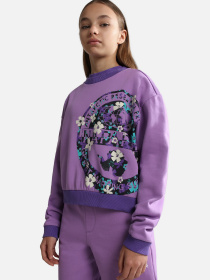 Світшот Napapijri Kg B-Viken модель NP0A4GVYV1B1 Фото