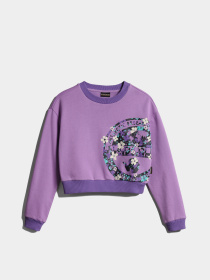 Світшот Napapijri Kg B-Viken модель NP0A4GVYV1BS Фото