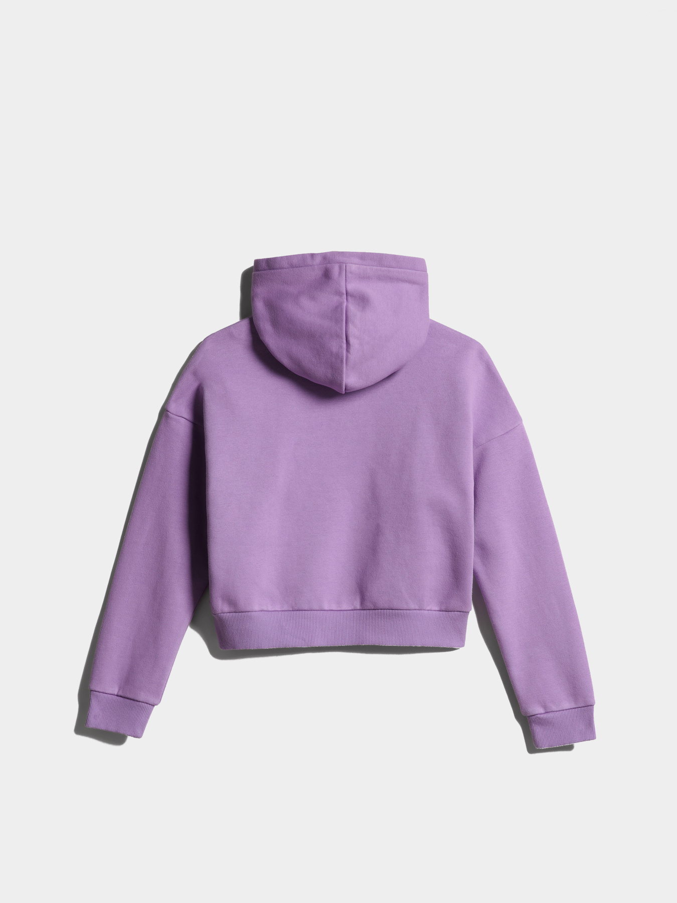 Худи Napapijri Kg Burgee Crop модель NP0A4GVZV1B1 Фото