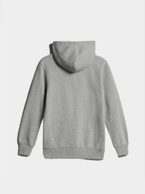 Худи Napapijri K B-Boreale Fzh модель NP0A4GW3160S Фото