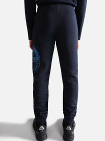 Штаны спортивные Napapijri K M-Boreale модель NP0A4GW8176S Фото