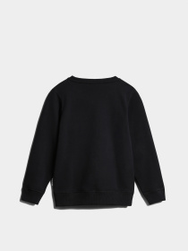 Свитшот Napapijri K Bem модель NP0A4H330411 Фото