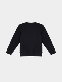 Свитшот Napapijri K Bem модель NP0A4H331761 Фото