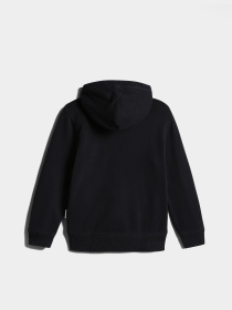 Худи Napapijri K Bient модель NP0A4H340411 Фото