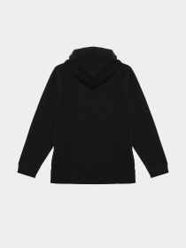 Худи Napapijri K Bient модель NP0A4H340411 Фото