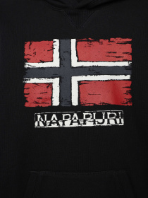 Худи Napapijri K Bient модель NP0A4H340411 Фото