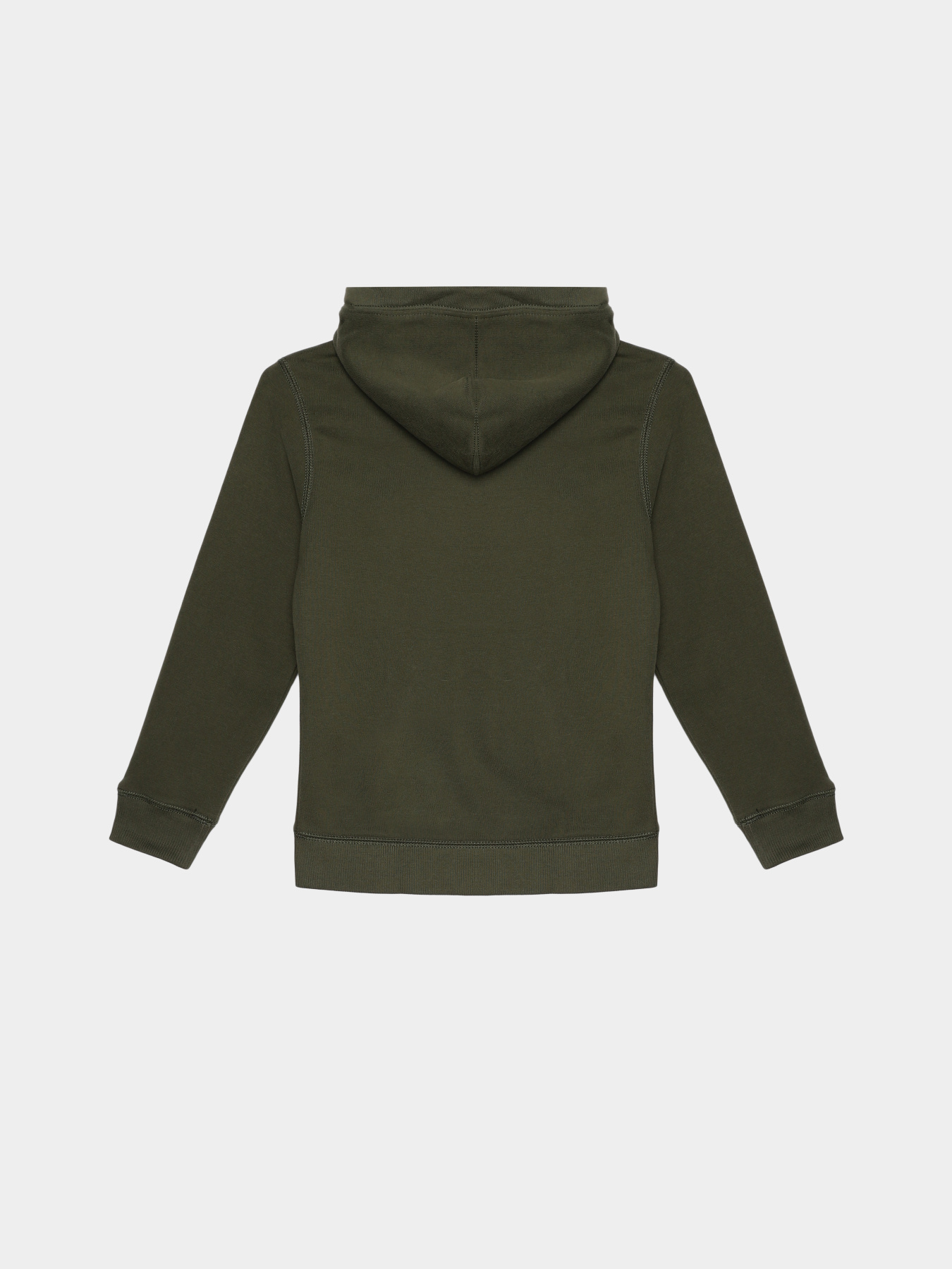 Худі Napapijri K Bient модель NP0A4H34GE41 Фото