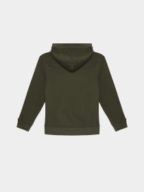 Худи Napapijri K Bient модель NP0A4H34GE41 Худи Napapijri K Bient модель NP0A4H34GE41 Фото