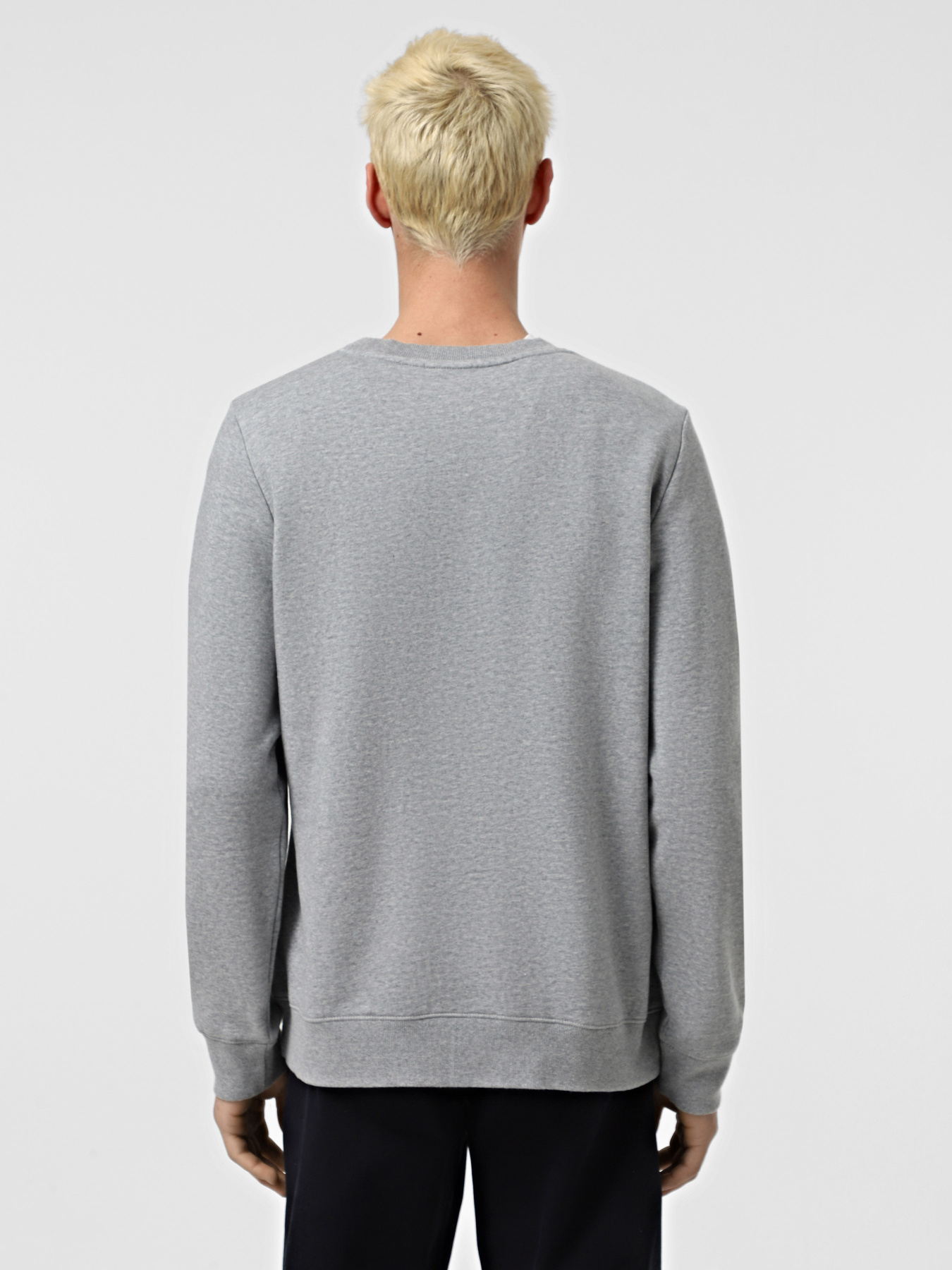 Свитшот Napapijri Benni Med модель NP0A4H3D1601 Фото