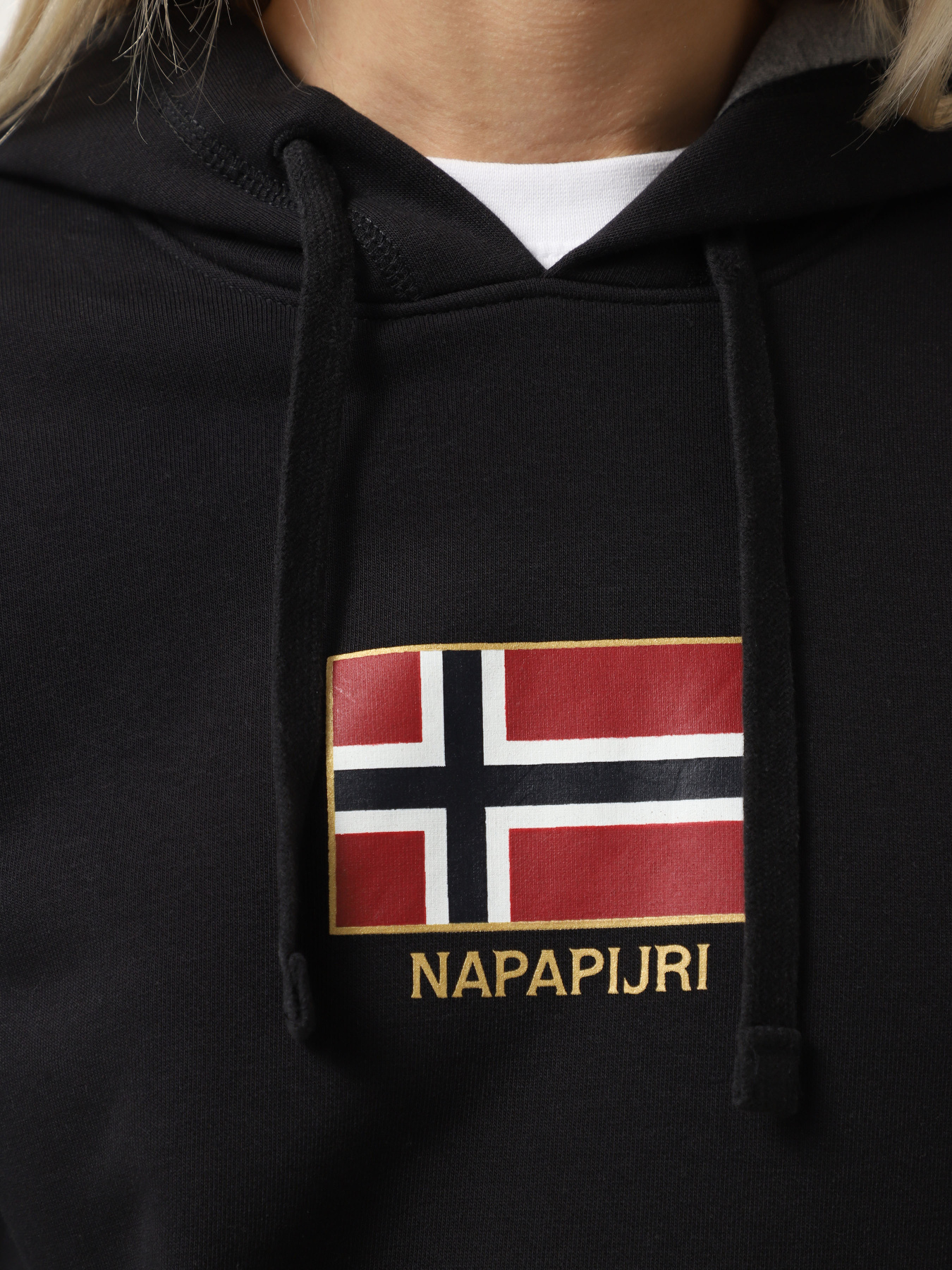 Худи Napapijri Bient модель NP0A4H3E0411 Фото