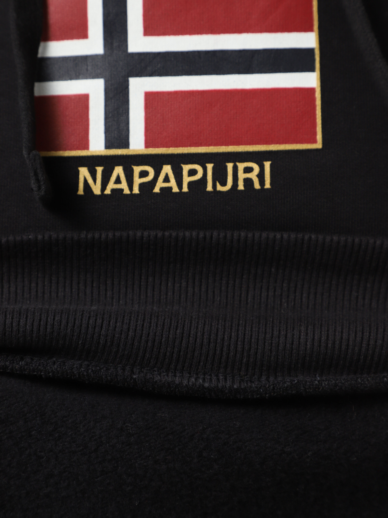 Худи Napapijri Bient модель NP0A4H3E0411 Фото