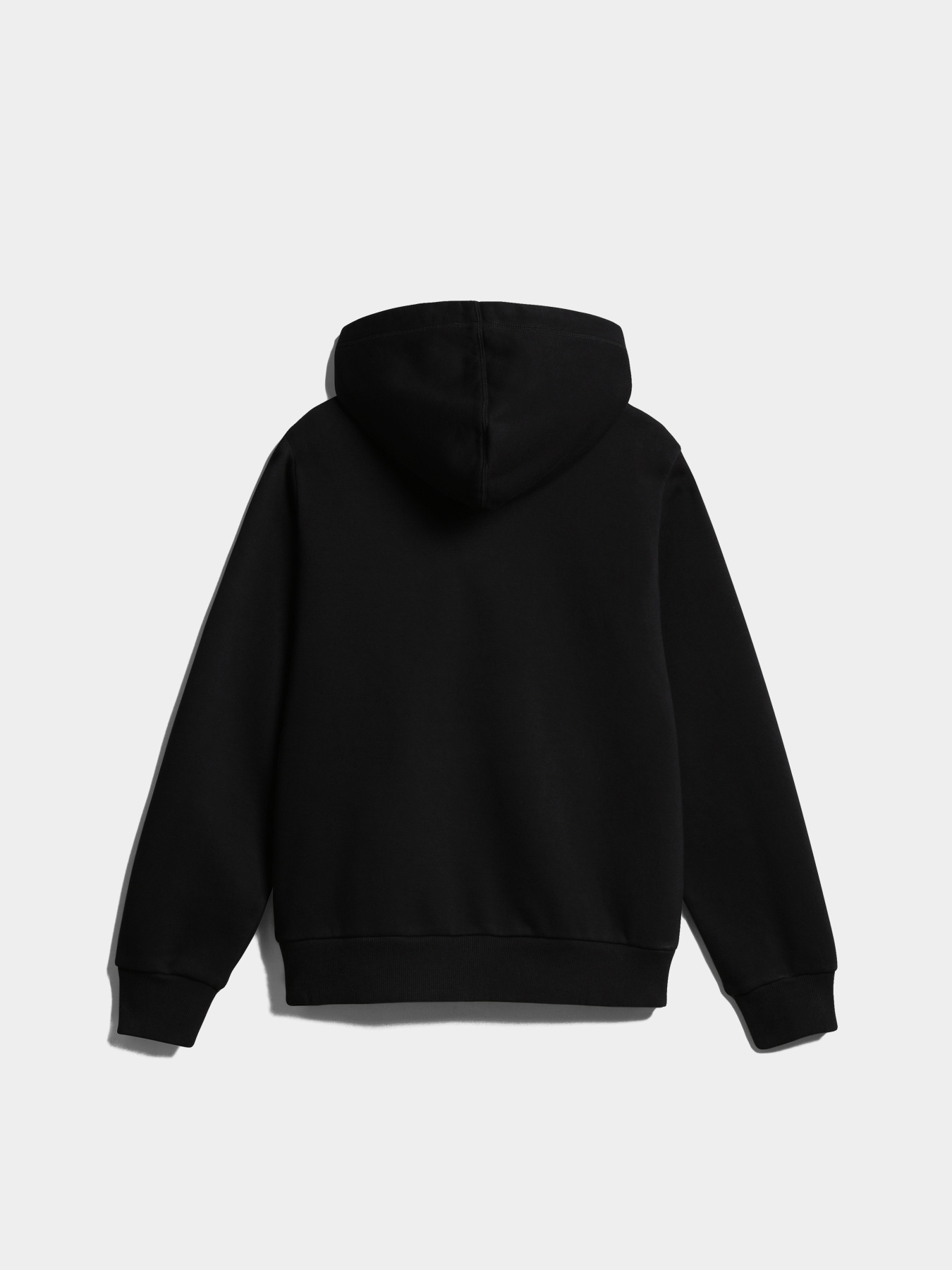 Худи Napapijri Bient модель NP0A4H3E0411 Фото