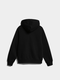 Худи Napapijri Bient модель NP0A4H3E0411 Фото