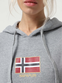 Худі Napapijri Bient Модель NP0A4H3E1601 Фото